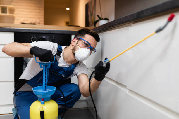 Best Pest Control Treatment  in Shawneetown, IL