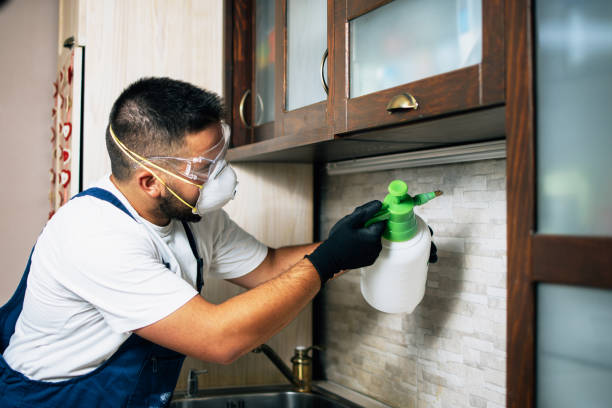 Best Best Pest Control Companies  in Shawneetown, IL