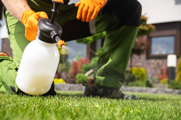 Best Rodent Control Near Me  in Shawneetown, IL
