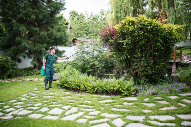 Best Wasp Removal Services  in Shawneetown, IL