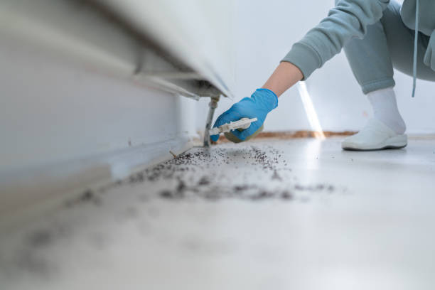 Best Wildlife Control Services  in Shawneetown, IL