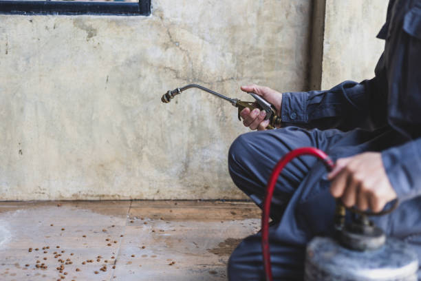 Best Pest Removal Services  in Shawneetown, IL